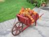 Wheelbarrow